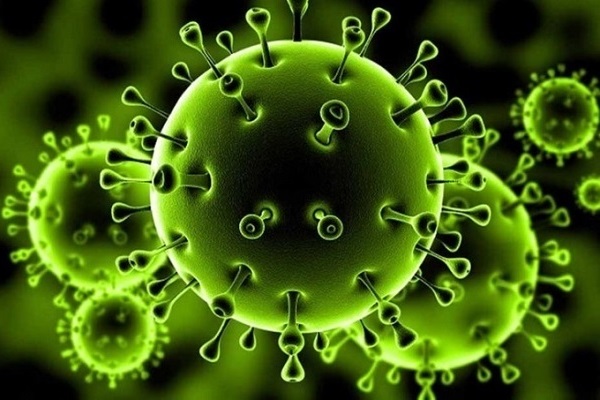 مصر تدخل الموجة الثالثة لكورونا و متوسط الوفيات 5.9%